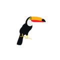 Tucano