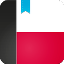 Polish Conjugation APK