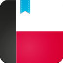 Polish Conjugation APK