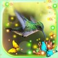 Colibri LWP