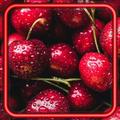 Cherry Wallpaper