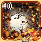 Autumn Moon أيقونة