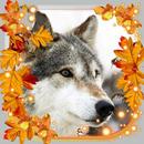 Autumn Wolf Live Wallpaper APK
