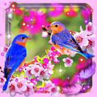 ikon Beauty Birds