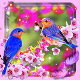 Beauty Birds-icoon