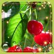 Berry Juicy