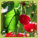 Berry Juicy APK