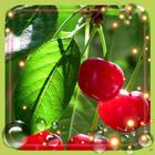 Berry Juicy ikon