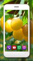 Berry Juicy syot layar 2