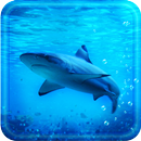 Blue Shark live wallpaper aplikacja