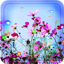Bubbles n Flowers HD live wallpaper aplikacja