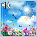 Dragonfly Live Wallpaper APK