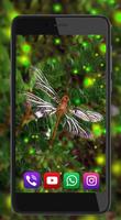 Dragonfly capture d'écran 2