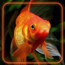 Fishes Gold Aquarium HD APK