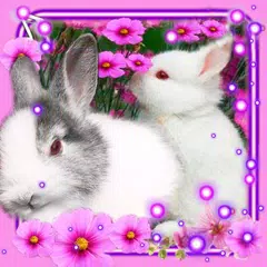 Funny Bunnies Live Wallpaper アプリダウンロード