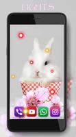 Funny Bunnies تصوير الشاشة 3