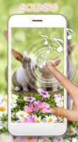 Funny Bunnies الملصق