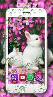 Funny Bunnies تصوير الشاشة 1