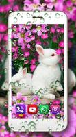 Funny Bunnies اسکرین شاٹ 1