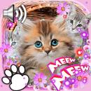 Kittens Lovely LWP APK