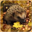 Hedgehogs Live Wallpaper APK