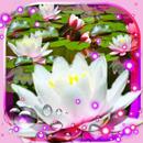 Lotos Lily Water LWP APK