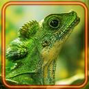 Lizards Tropical aplikacja