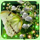 Lily of Valley HD LWP icono
