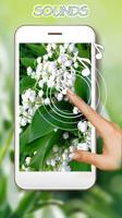 Lily of Valley HD LWP Cartaz