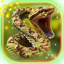 Snake Sounds Live Wallpaper APK