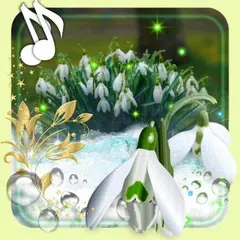 Скачать Snowdrops Flowers APK