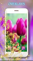 برنامه‌نما Spring Love عکس از صفحه