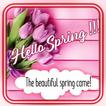 Spring Statuses