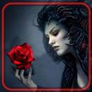 Roses of Vampires aplikacja
