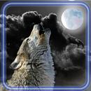 Wolf Night Howl aplikacja