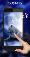 Wolves Night Live Wallpaper اسکرین شاٹ 1