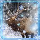 Winter Animals HD aplikacja