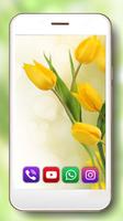 Tulips Spring syot layar 3