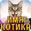 Тест на Имя Котика APK
