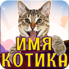 Тест на Имя Котика icono
