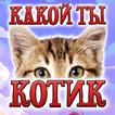 Тест: Какой ты Котик - Шутка