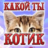 Тест: Какой ты Котик - Шутка-icoon