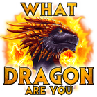 Test: What dragon are you? Pra-icoon