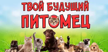 Тест: Твой Домашний Питомец Шу