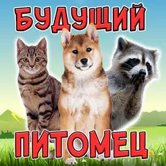 download Тест: Твой Домашний Питомец Шу APK