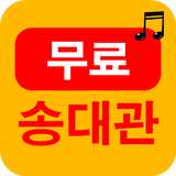 Icona 송대관