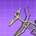 Pterosaur Dino Fossils Robot