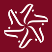 JOYFUL BOXES icon
