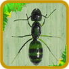 I'm not granny. Im Ant! The Ant King , Rise! APK