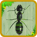 I'm not granny. Im Ant! The Ant King , Rise! APK